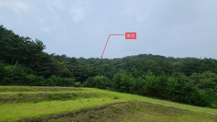 인천광역시 옹진군 북도면 장봉리 산178 임야 경매 사진 1