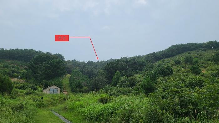 인천광역시 옹진군 북도면 장봉리 산178 임야 경매 사진 3