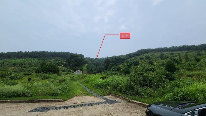 인천광역시 옹진군 북도면 장봉리 산178 임야 경매 사진 4