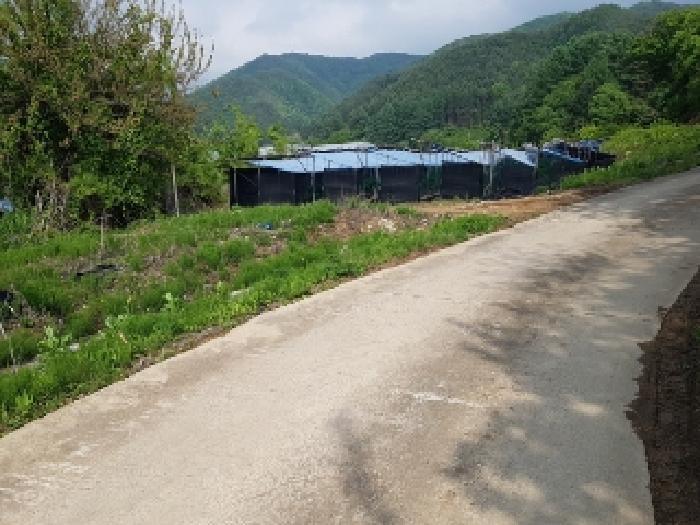 강원특별자치도 홍천군 두촌면 자은리 115 전 경매 사진 5