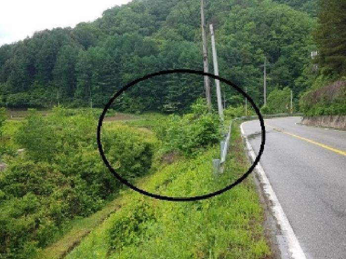 강원특별자치도 홍천군 홍천읍 장전평리 683-3 답 경매 사진 6