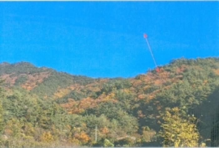 강원특별자치도 강릉시 왕산면 고단리 산199-1 임야 경매 사진 13