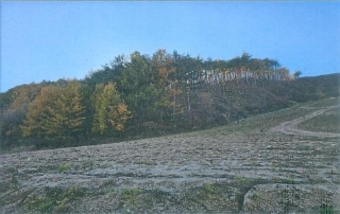 강원특별자치도 강릉시 왕산면 고단리 산199-1 임야 경매 사진 20