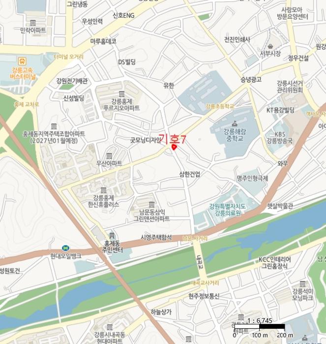 강원특별자치도 강릉시 왕산면 고단리 산199-1 임야 경매 사진 25