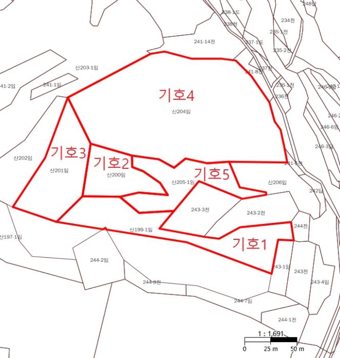 강원특별자치도 강릉시 왕산면 고단리 산199-1 임야 경매 사진 29