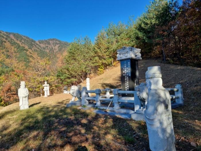 강원특별자치도 강릉시 왕산면 고단리 산199-1 임야 경매 사진 5