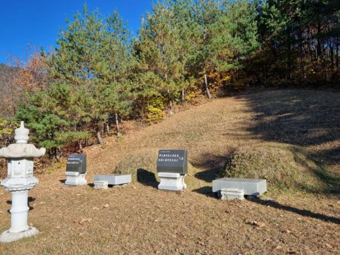 강원특별자치도 강릉시 왕산면 고단리 산199-1 임야 경매 사진 8