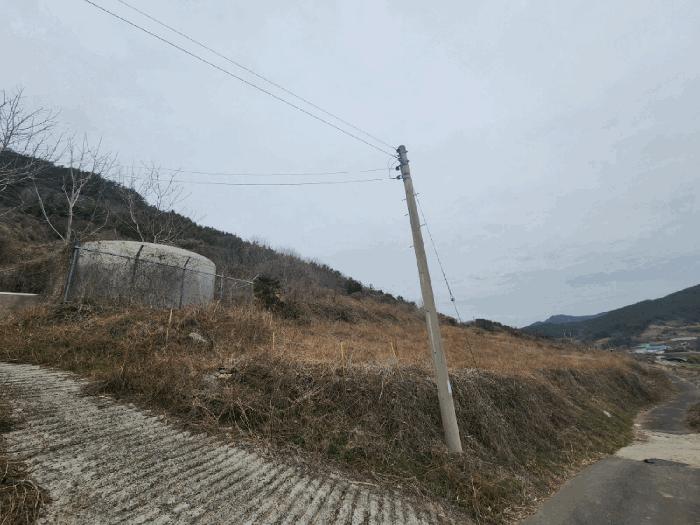 전라남도 여수시 화양면 서촌리 1099 전 경매 사진 1