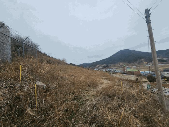 전라남도 여수시 화양면 서촌리 1099 전 경매 사진 3