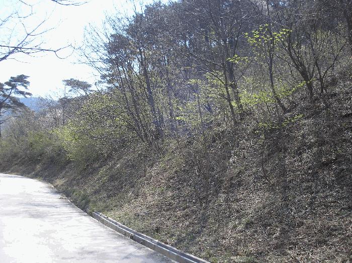 전라남도 광양시 봉강면 조령리 산54-1 임야 경매 사진 11