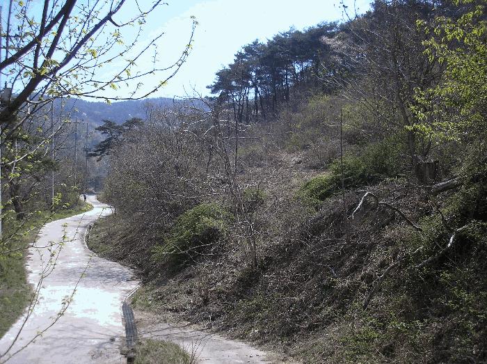 전라남도 광양시 봉강면 조령리 산54-1 임야 경매 사진 13