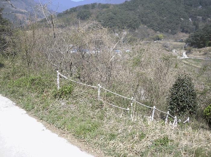 전라남도 광양시 봉강면 조령리 산54-1 임야 경매 사진 18