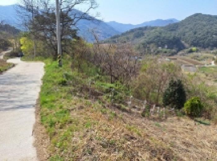 전라남도 광양시 봉강면 조령리 산54-1 임야 경매 사진 25