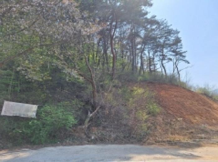 전라남도 광양시 봉강면 조령리 산54-1 임야 경매 사진 30