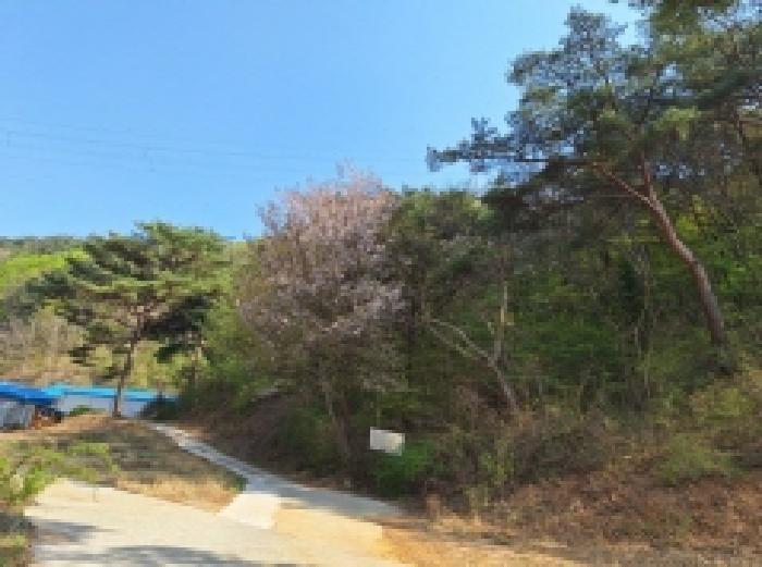 전라남도 광양시 봉강면 조령리 산54-1 임야 경매 사진 34