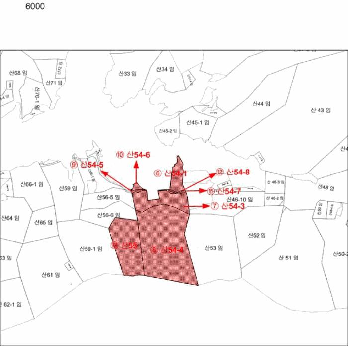 전라남도 광양시 봉강면 조령리 산54-1 임야 경매 사진 38