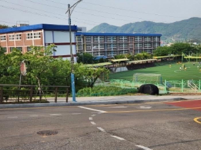 전라남도 광양시 광영동 431 답 경매 사진 9