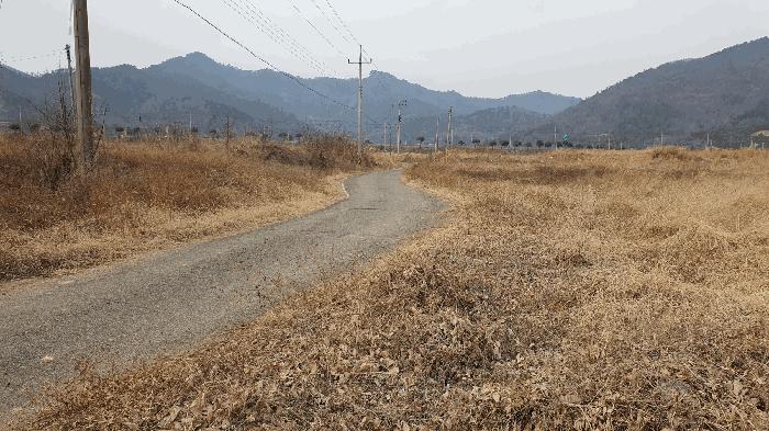 전라남도 고흥군 동강면 장덕리 산77-2 임야 경매 사진 2