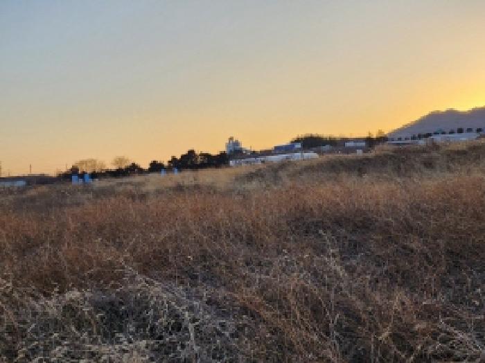 전라남도 고흥군 동강면 장덕리 산77-2 임야 경매 사진 29