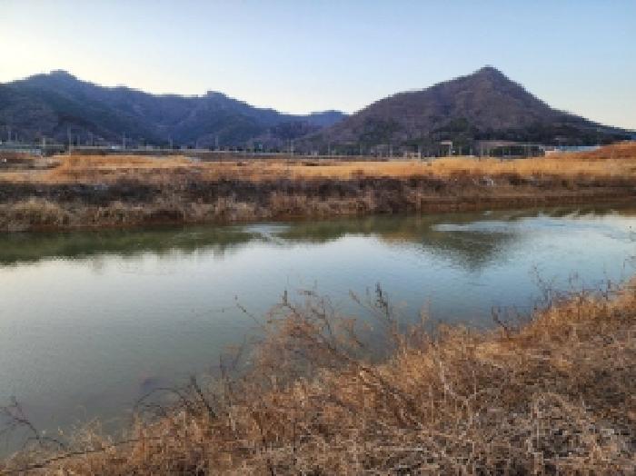 전라남도 고흥군 동강면 장덕리 산77-2 임야 경매 사진 34