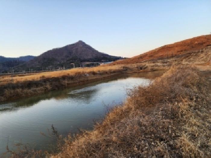전라남도 고흥군 동강면 장덕리 산77-2 임야 경매 사진 35