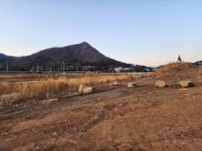 전라남도 고흥군 동강면 장덕리 산77-2 임야 경매 사진 41