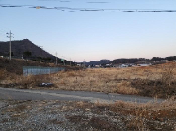 전라남도 고흥군 동강면 장덕리 산77-2 임야 경매 사진 43