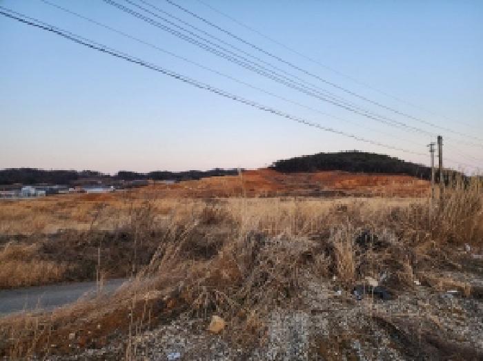 전라남도 고흥군 동강면 장덕리 산77-2 임야 경매 사진 44