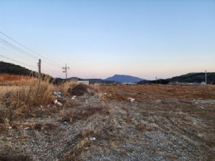 전라남도 고흥군 동강면 장덕리 산77-2 임야 경매 사진 45