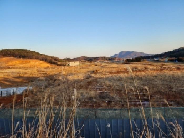 전라남도 고흥군 동강면 장덕리 산77-2 임야 경매 사진 49