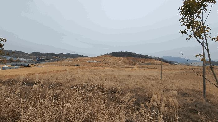 전라남도 고흥군 동강면 장덕리 산77-2 임야 경매 사진 5