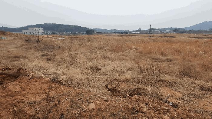 전라남도 고흥군 동강면 장덕리 산77-2 임야 경매 사진 6