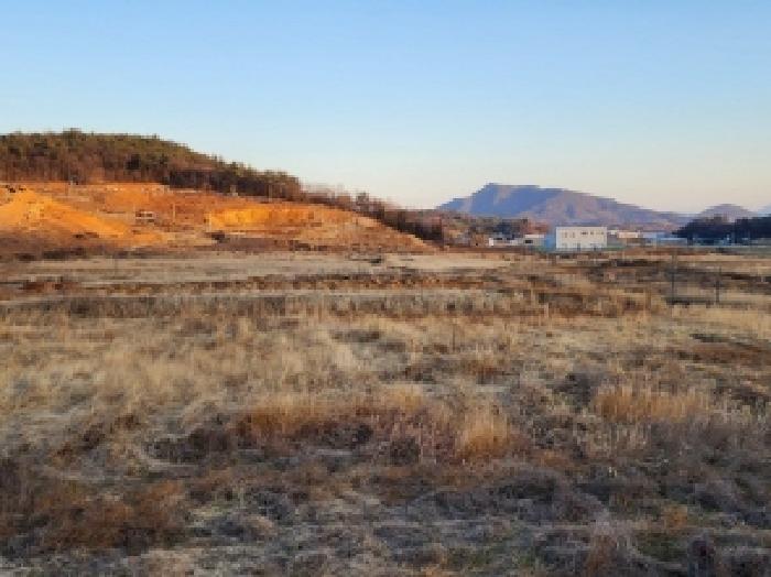 전라남도 고흥군 동강면 장덕리 산77-2 임야 경매 사진 76