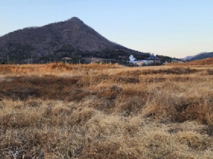 전라남도 고흥군 동강면 장덕리 산77-2 임야 경매 사진 79