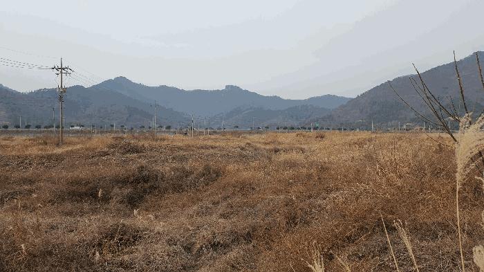 전라남도 고흥군 동강면 장덕리 산77-2 임야 경매 사진 8