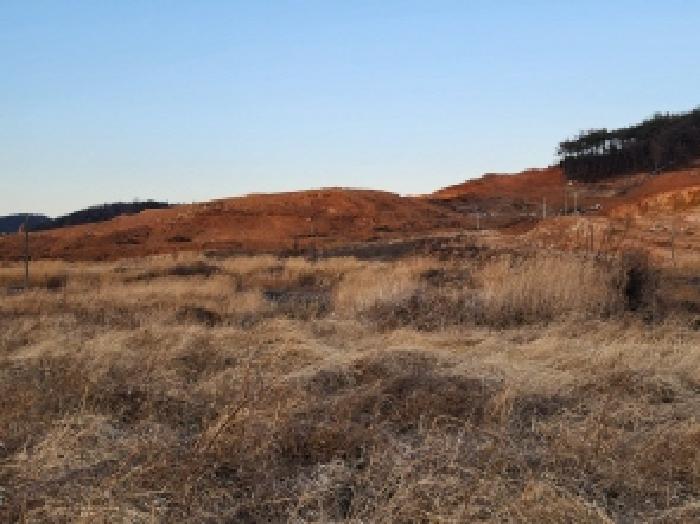 전라남도 고흥군 동강면 장덕리 산77-2 임야 경매 사진 80