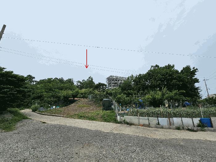 경상북도 포항시 북구 흥해읍 우목리 132-2 임야 경매 사진 1