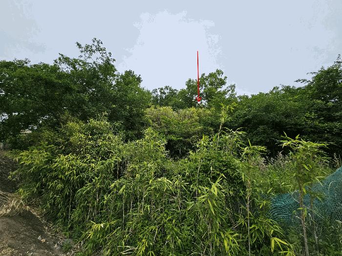 경상북도 포항시 북구 흥해읍 우목리 132-2 임야 경매 사진 7