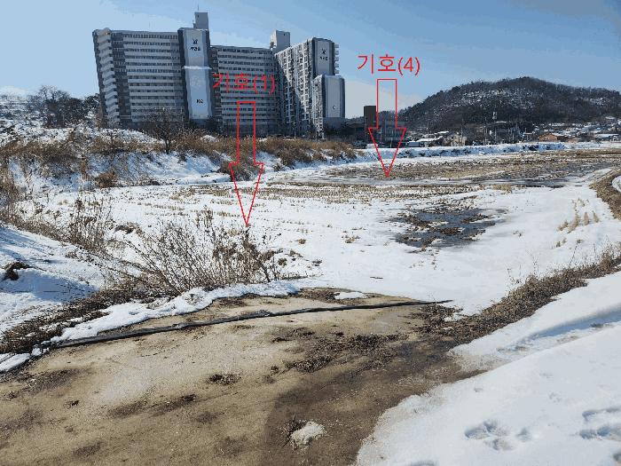 전북특별자치도 부안군 부안읍 선은리 379 답 경매 사진 5