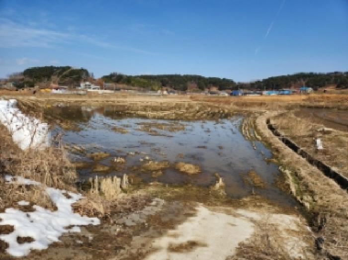 전북특별자치도 부안군 부안읍 선은리 81 답 경매 사진 13