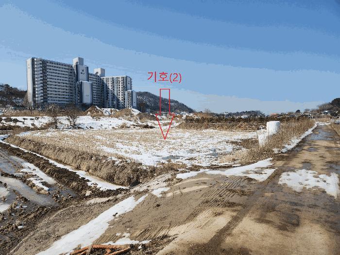 전북특별자치도 부안군 부안읍 선은리 81 답 경매 사진 8