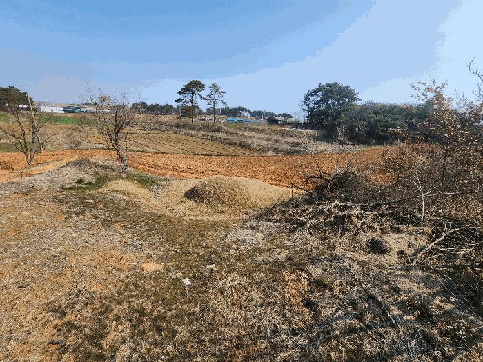 전북특별자치도 정읍시 이평면 마항리 387-5 전 경매 사진 1