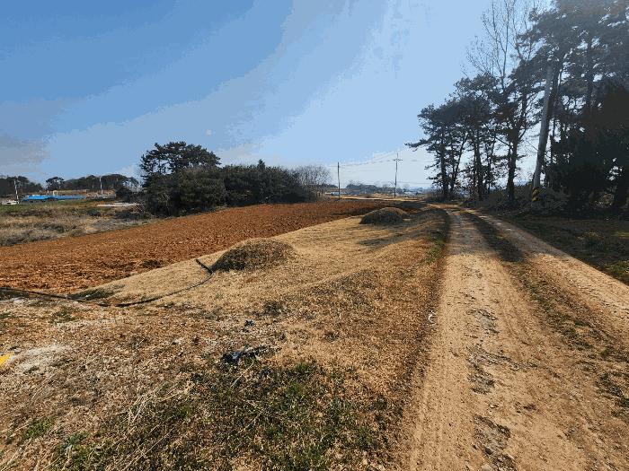 전북특별자치도 정읍시 이평면 마항리 387-5 전 경매 사진 2