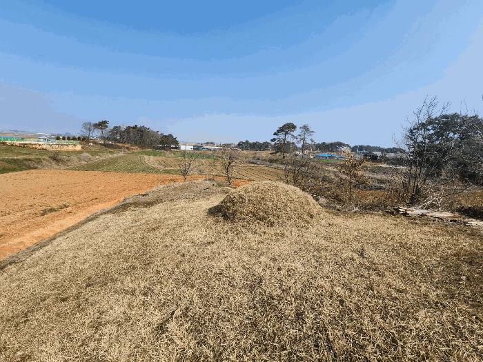 전북특별자치도 정읍시 이평면 마항리 387-5 전 경매 사진 4