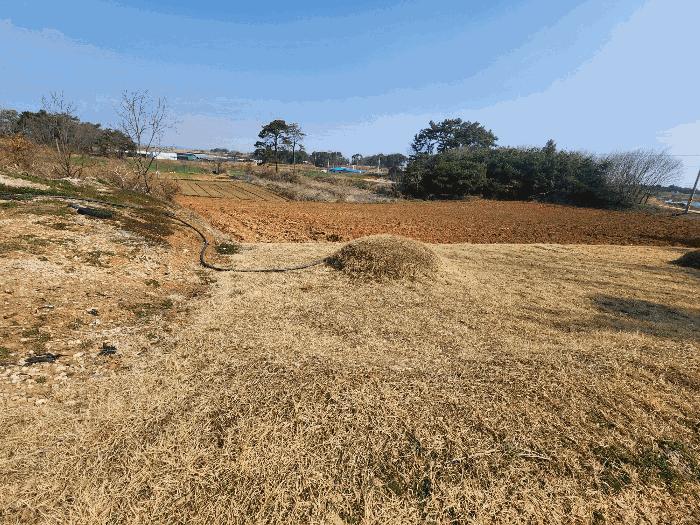 전북특별자치도 정읍시 이평면 마항리 387-5 전 경매 사진 6