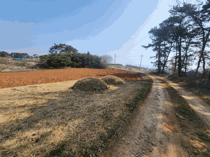 전북특별자치도 정읍시 이평면 마항리 387-5 전 경매 사진 7