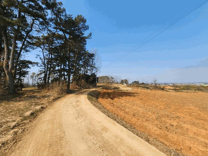 전북특별자치도 정읍시 이평면 마항리 387-10 임야 경매 사진 9