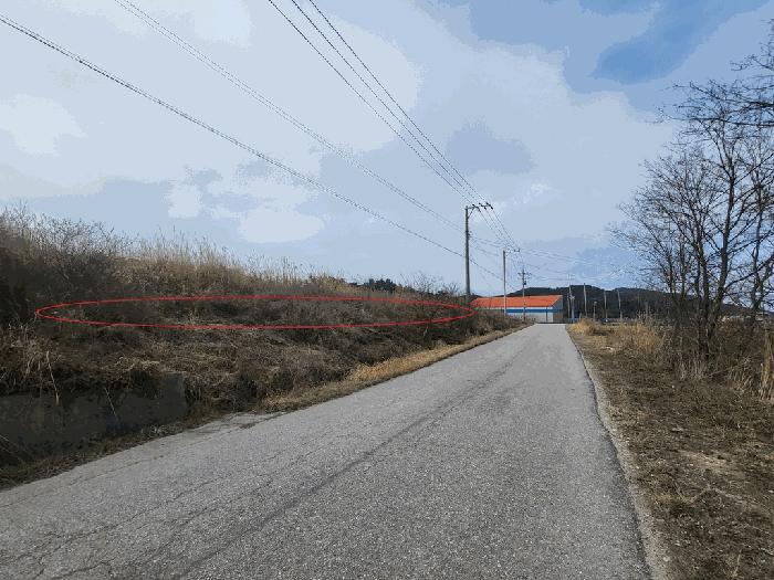 전북특별자치도 부안군 변산면 마포리 산83-1 임야 경매 사진 2