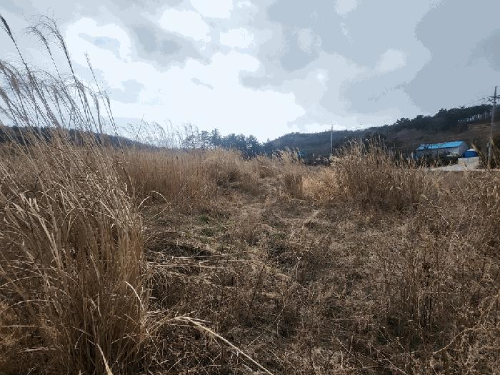 전북특별자치도 부안군 변산면 마포리 산83-1 임야 경매 사진 4