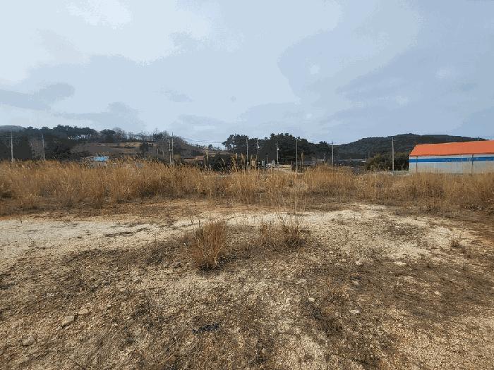 전북특별자치도 부안군 변산면 마포리 산83-1 임야 경매 사진 5